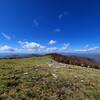 Looking west from the top of Bearwallow Mountain.