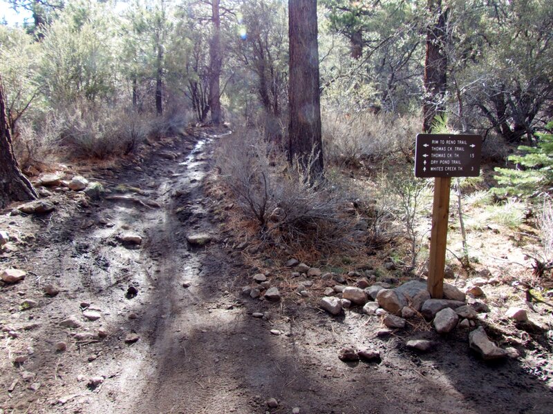 30 Jan 2015; Thomas Creek/Dry Pond Trail/Signpost.  Elevation: 6,505'; (N39° 23.593' W119° 51.801')