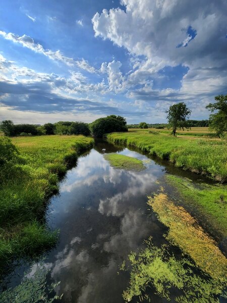 Purgatory Creek