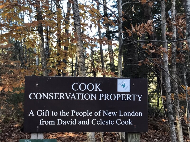 Cook Conservation Property Trailhead