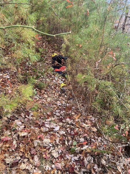 Rough Ridge Trail in Cohutta Wilderness (abandoned gear)