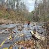 Crossing Jack's River, keeping with Jack's River Trail, Cohutta Wilderness.