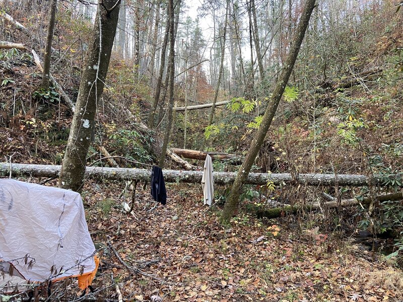 Hickory Ridge Trail, Cohutta Wilderness, trails not maintained for years making for a grueling hike.