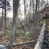 Hickory Ridge Trail, Cohutta Wilderness, trails not maintained for years making for a grueling hike.