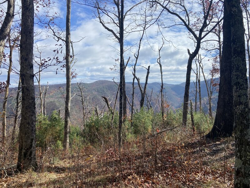 Somewhere on East Cowpen Trail looking across to Rough Ridge Trail, Cohutta Wilderness.