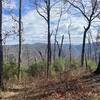 Somewhere on East Cowpen Trail looking across to Rough Ridge Trail, Cohutta Wilderness.