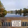 Don't feed the gators