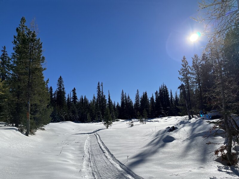 Prepping the trail for grooming.