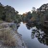 View to the south from the eastern shore of Bull Creek from a lookout along Buford's Trail.