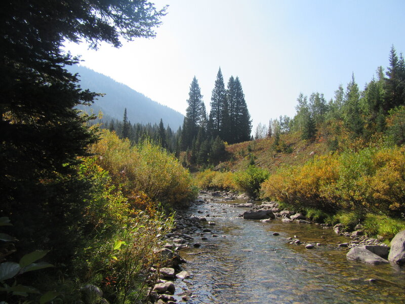 South Fork Teton Creek