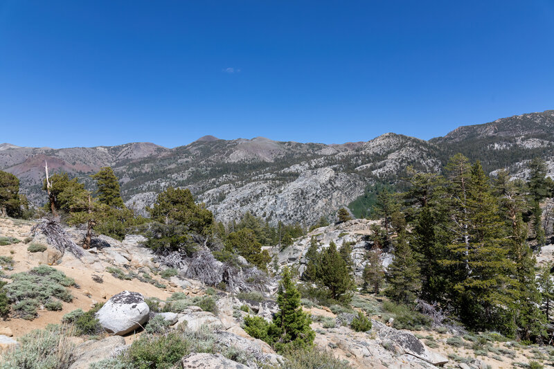 Elevated view of the West Walker River valley from the Chain of Lakes Trail.