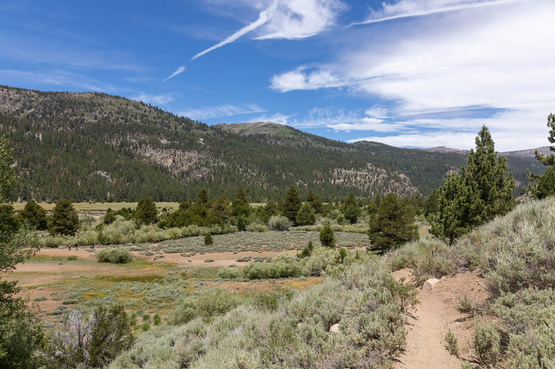 Leavitt Meadow