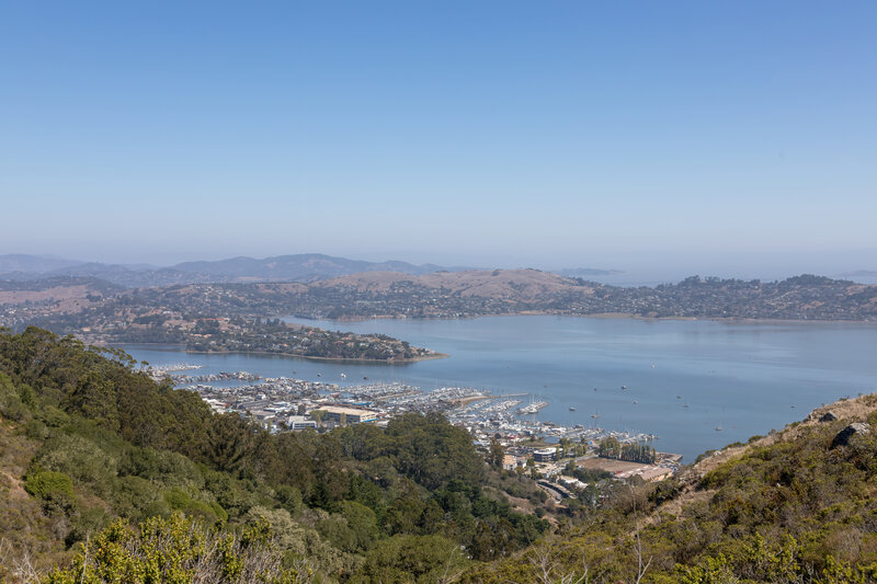 Sausalito from Alta Trail