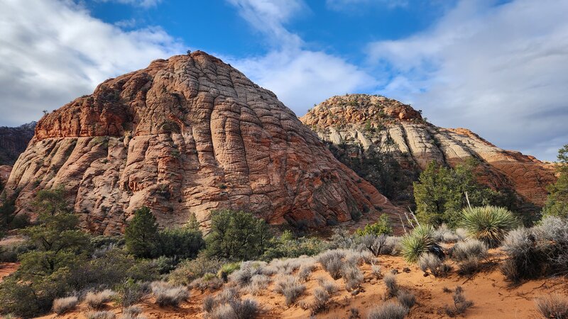 View from the trail