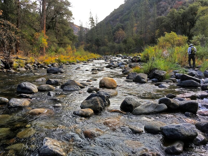 Looking upstream at the South Fork of the Merced River in November 2017, where Devil's Gulch flows into it. Photo by Bill King