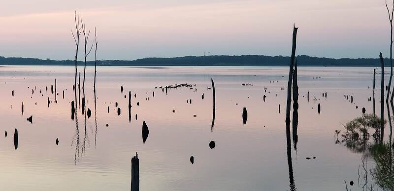 Morning at the reservoir.