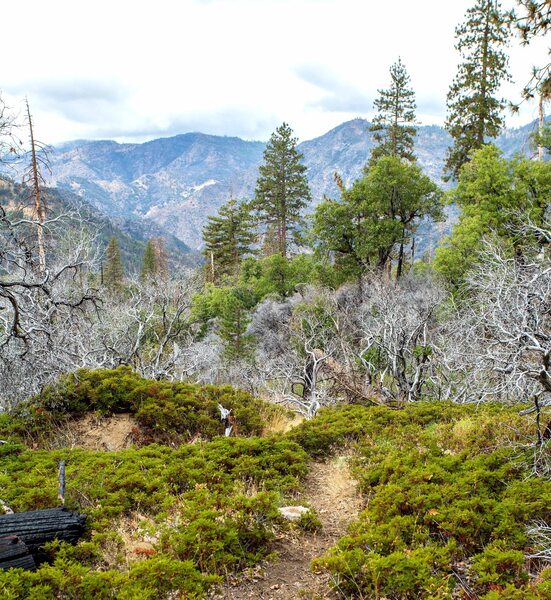 View from Bishop Creek Trail looking west into the South Fork Merced River Gorge