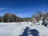 Open snowfield on the Wagon Wheel Trail.