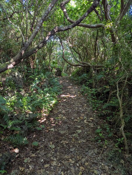 Gushichan Walking Path