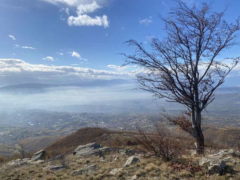 View from the top.