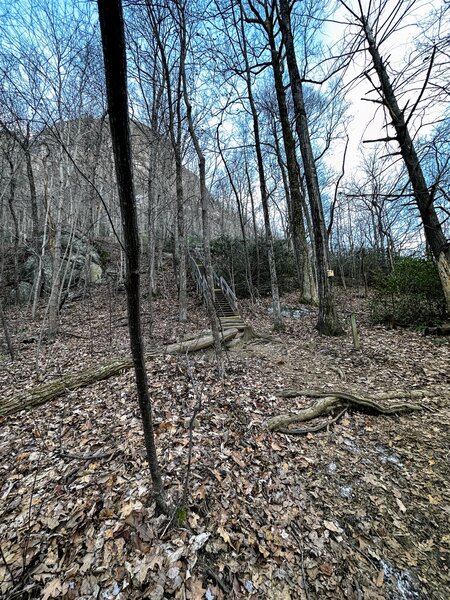 Stairs heading up to the Hickory Nut Falls Trail.