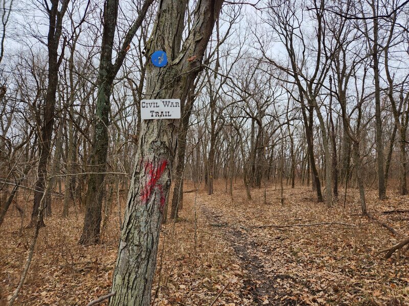 Lone Jack Civil War Trail marker in Blue and Gray Park