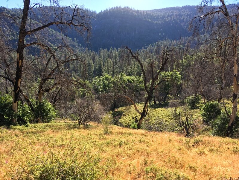 View of the Bishop Creek watershed looking east into Yosemite National Park.