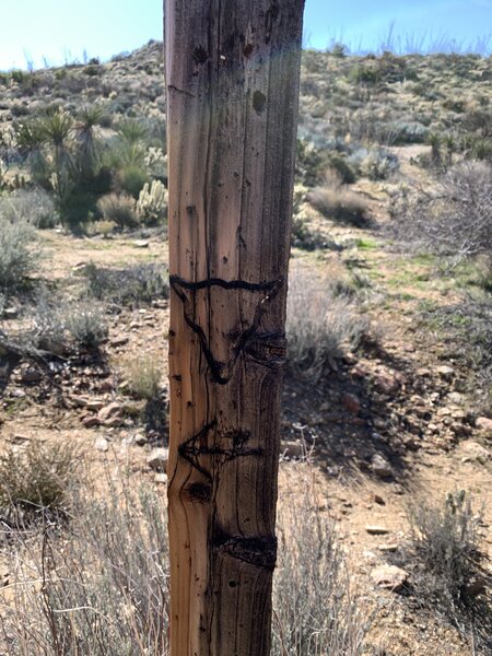 Buffalo Skull Trail Markers help you follow the path of the Mormon Battalion.