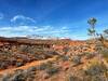 Views along Prospector Trail