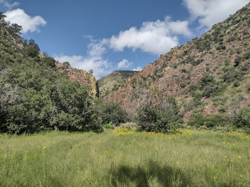 View up Six Mile Canyon
