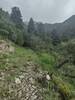 Typical section of the trail climbing towards North Baldy on a cloudy day.