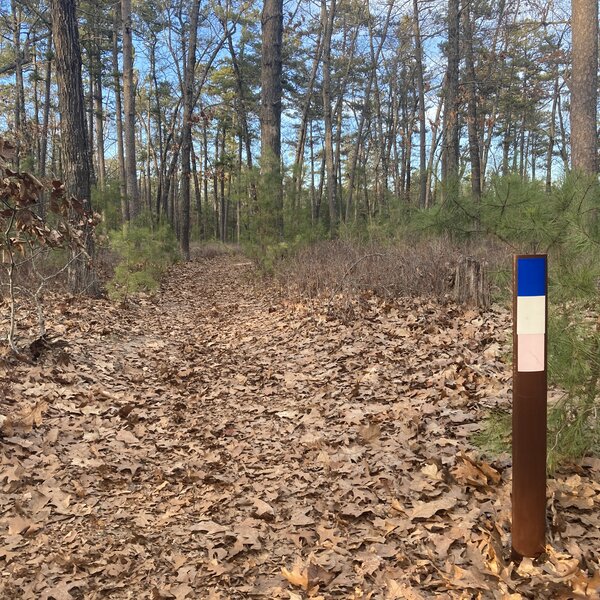 Sandy Ridge-Tulpehocken Trail (Blue-White Blaze).