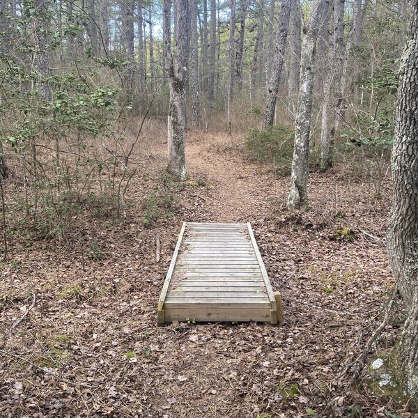 Boardwalk along the BATONA Trail