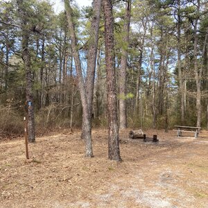 Campsite 5 at the Buttonwood Hill Campground