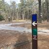 Green Blaze (End Of Trail) for the 1808 Trail terminus and Blue Blaze for the Buttonwood Camp Connector Trail at the Buttonwood Hill Campground