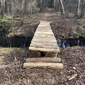 Half Log boardwalk over a small stream along the 1808 Trail (Green Blaze).
