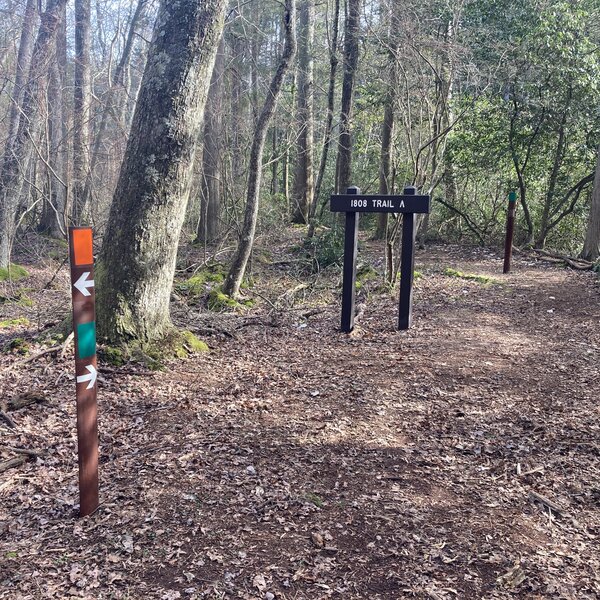 Intersection of the Sand and Water Trail (Orange Blaze) and 1808 Trail (Green Blaze).