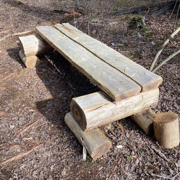 Log Bench along the Sand and Water Trail (Orange Blaze).