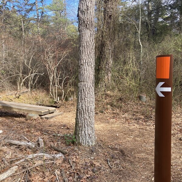 Sand and Water Trail (Orange Blaze) direction arrow.