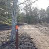 Sand and Water Trail (Orange Blaze) in the meadow to the left and rear of the Batsto Visitor Center.