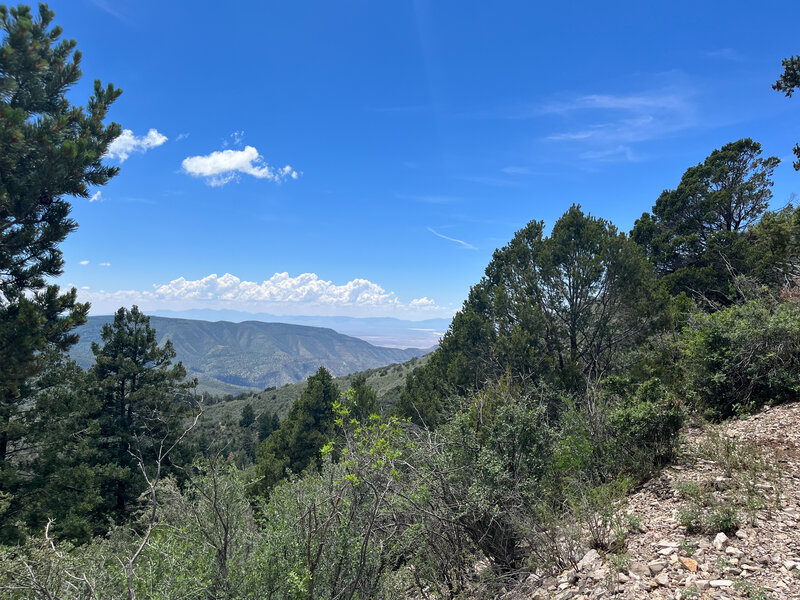 Alamo Peak Trail #109