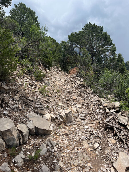 Alamo Peak Trail #109