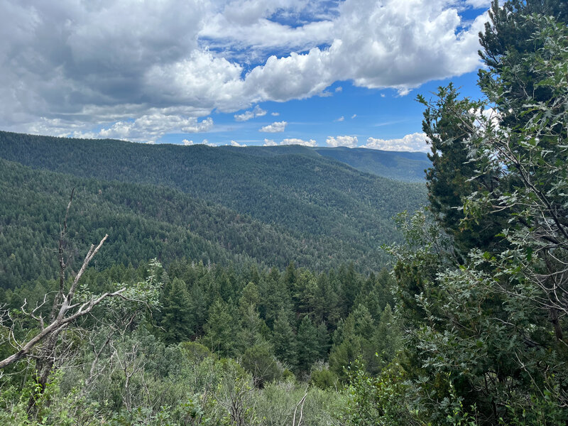 Alamo Peak Trail #109