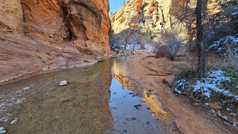 View from the trail.