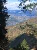 From a forest of Douglas Fir trees, looking northeast into Yosemite NP.