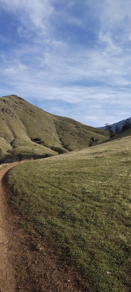 Cannell Meadows beginning of trail.