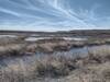 View from the Pond 5 Trail at the La Joya Wildlife Area.