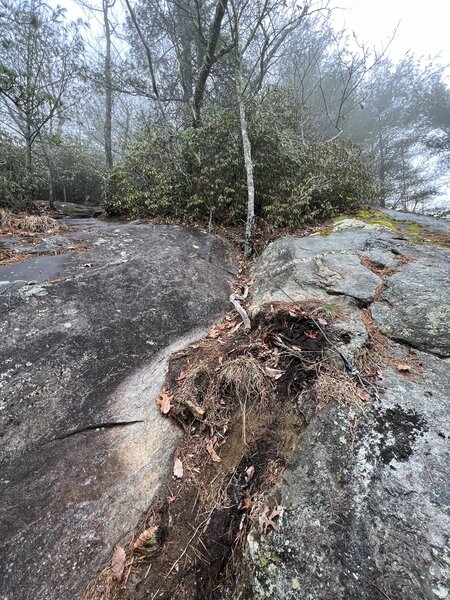 One of the rock scrambles on Rock Mountain Trail.