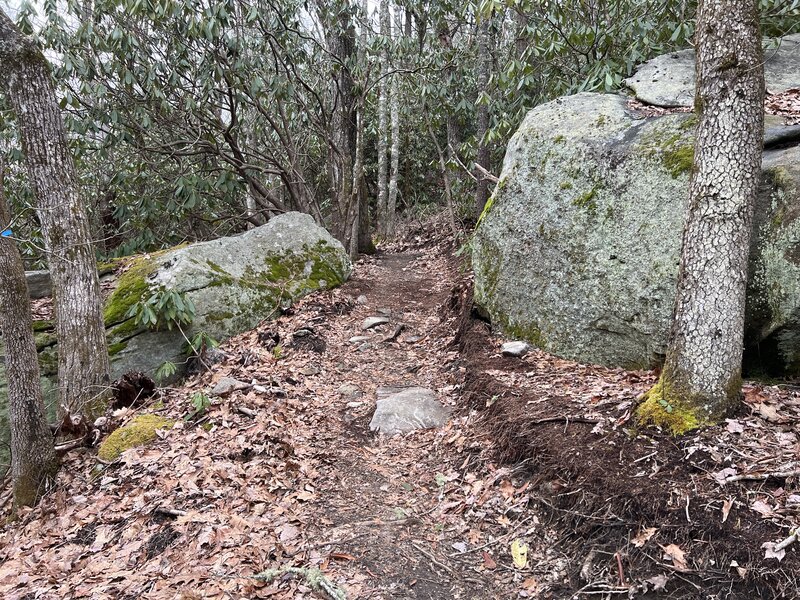 Boulders on Upper Saddle Trail.