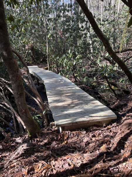 Footbridge on Wetlands Extension Trail.